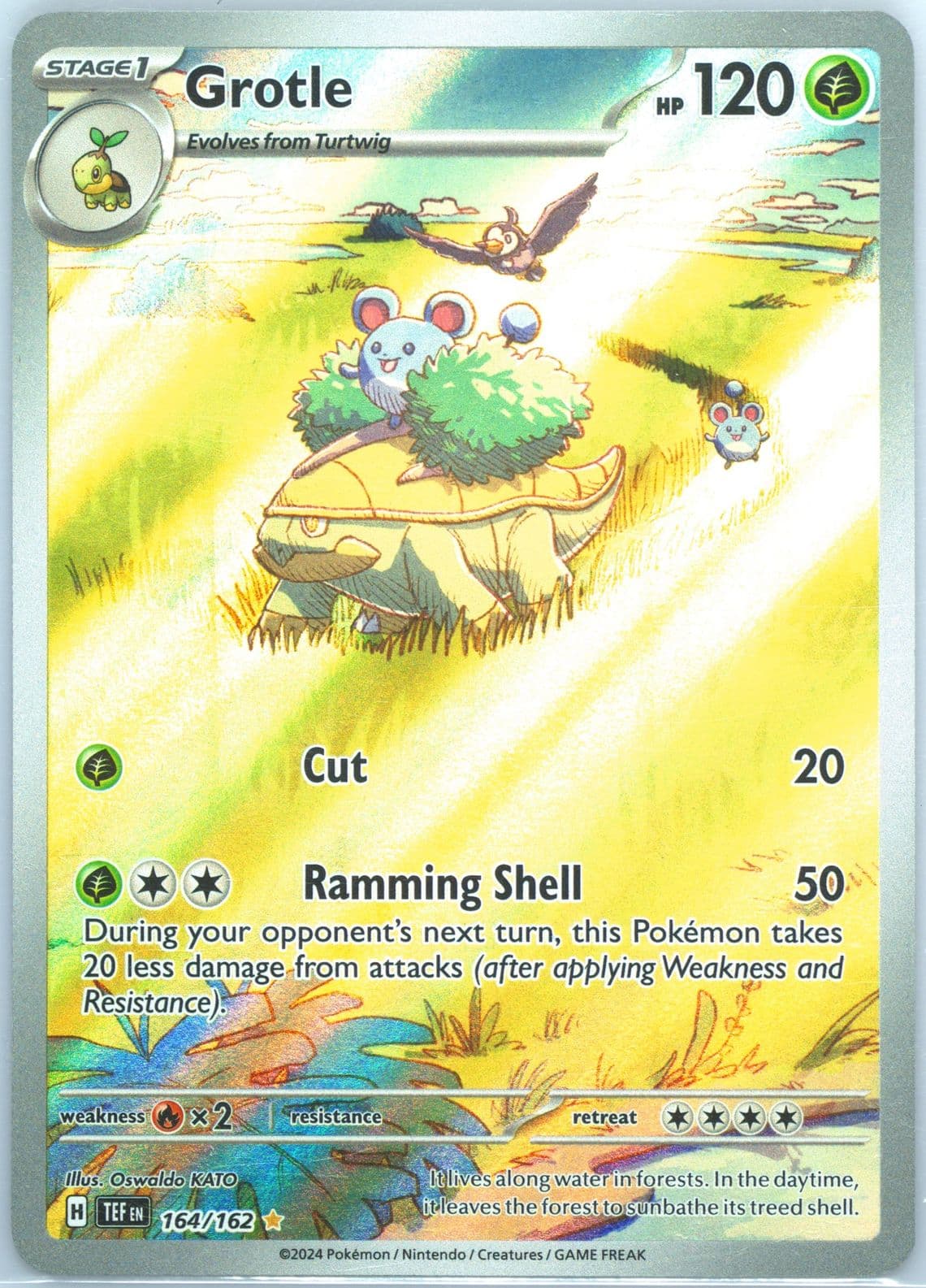 Grotle Illustration Rare (164) 2024 Pokemon Tef EN-Temporal Forces