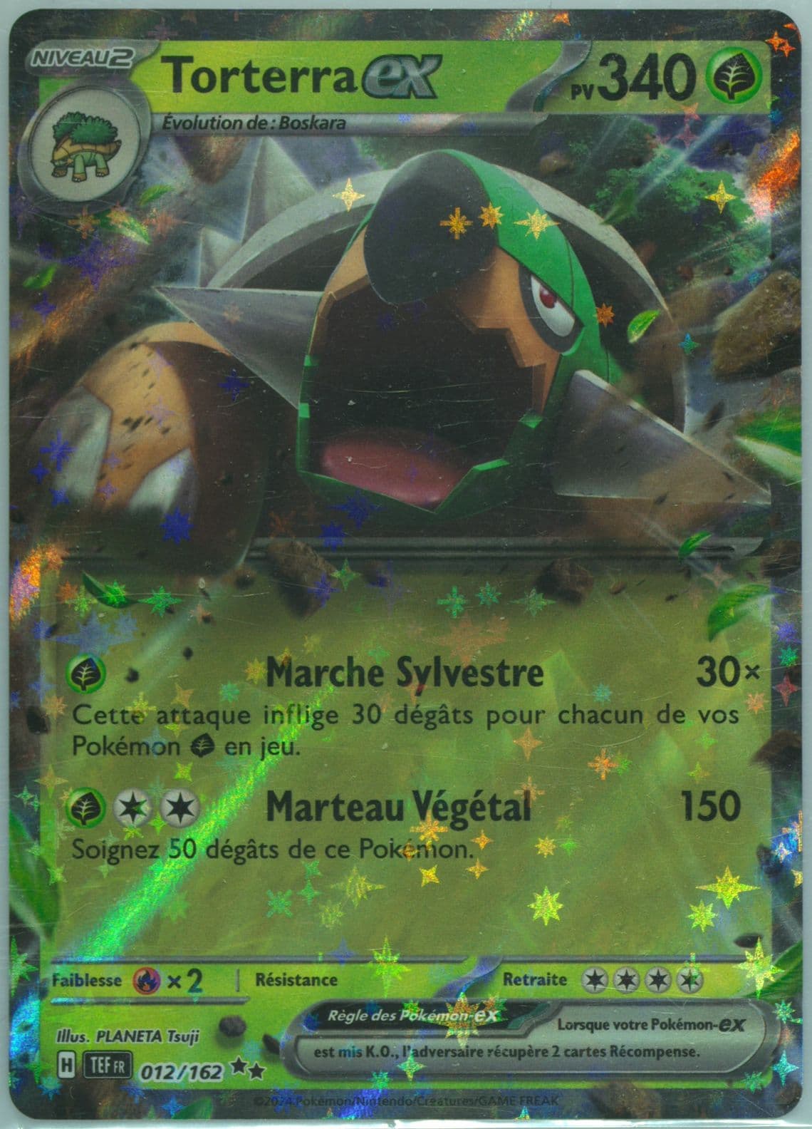 Torterra EX (012) 2024 Pokemon French Tef FR-Temporal Forces