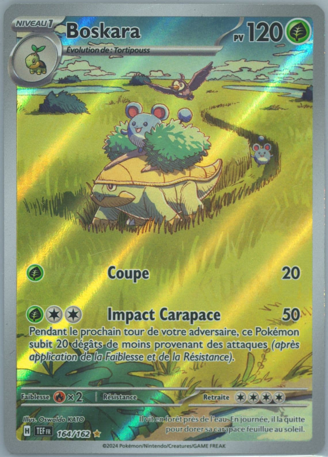 Grotle Illustration Rare (164) 2024 Pokemon French Tef FR-Temporal Forces