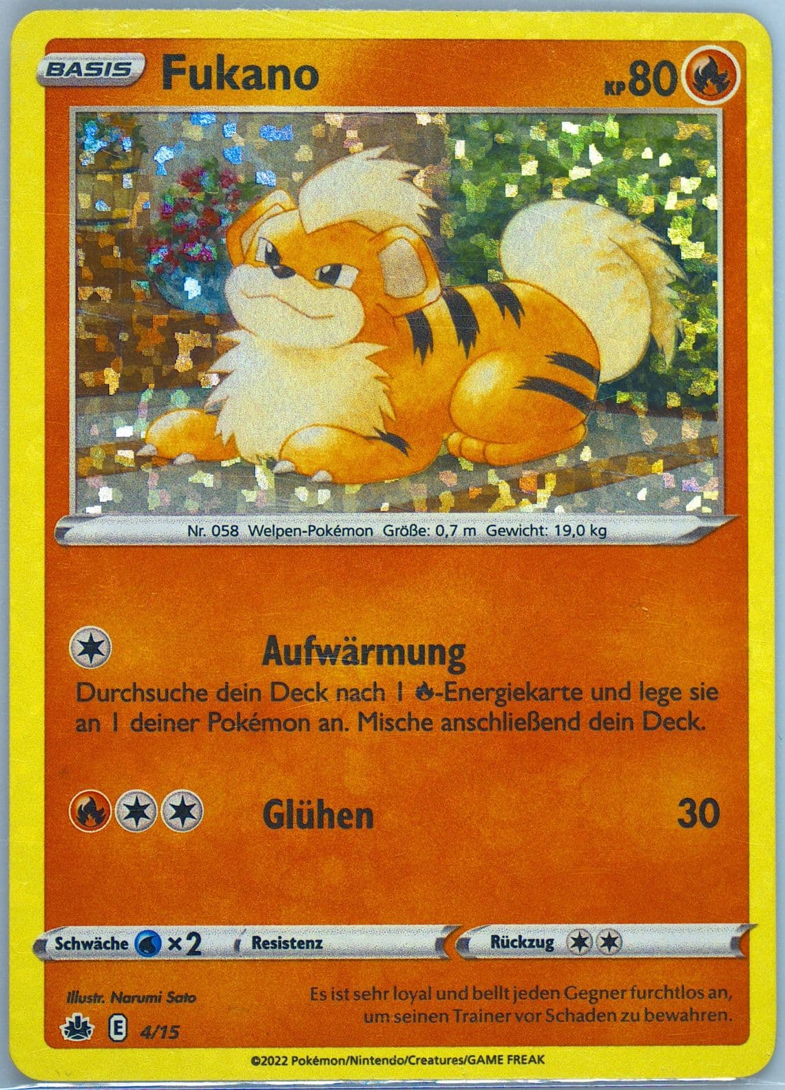 Fukano-Holo German (4) 2022 Pokemon Mcdonald's Collection