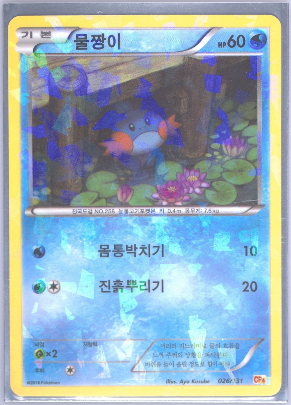 Mudkip (26) 2016 Pokemon Korean Premium Champion Pack