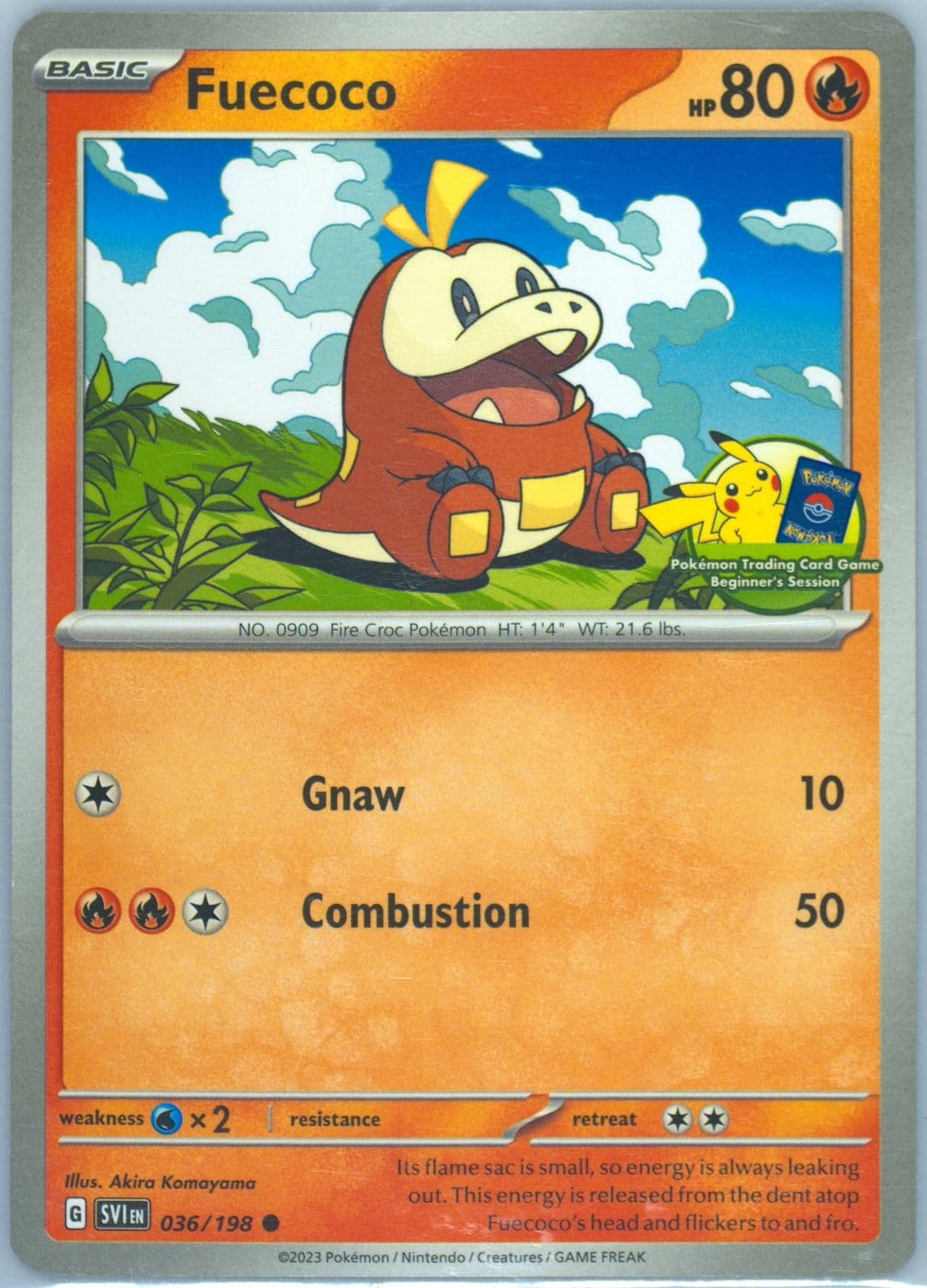 Fuecoco Beginner's Session (036) 2023 Pokemon Svi EN-Scarlet & Violet