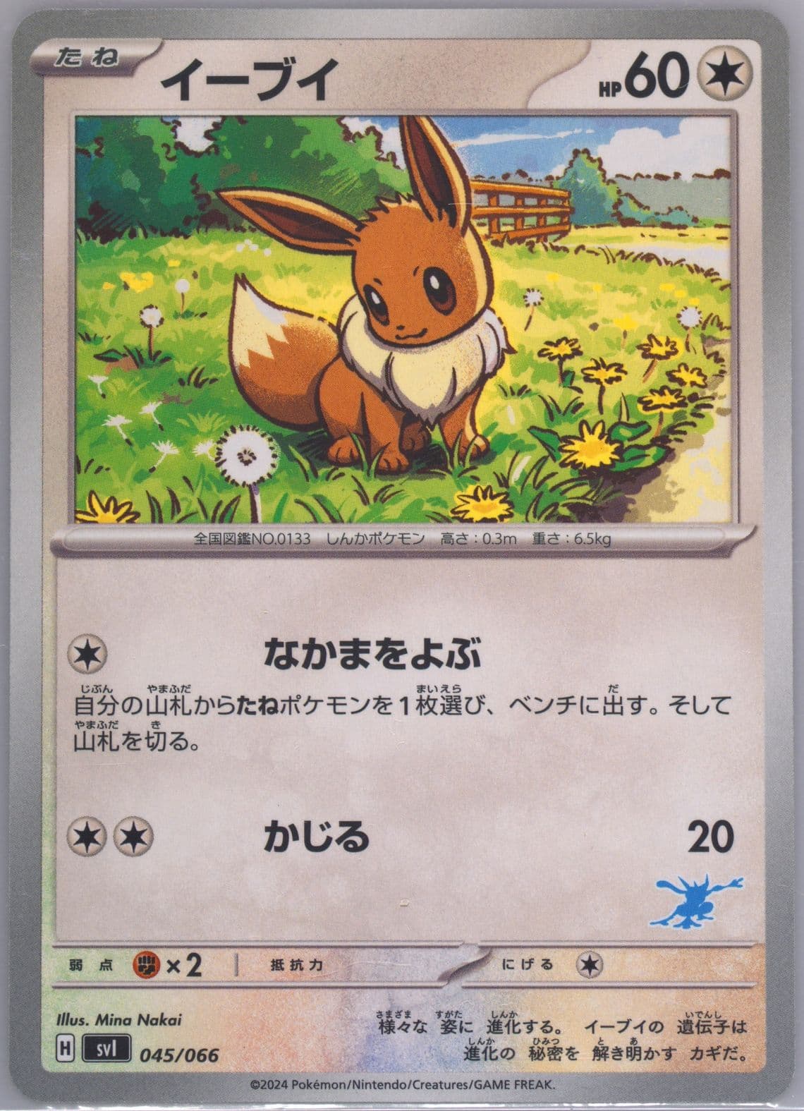 Eevee (045) 2024 Pokemon Japanese Svi-Battle Academy