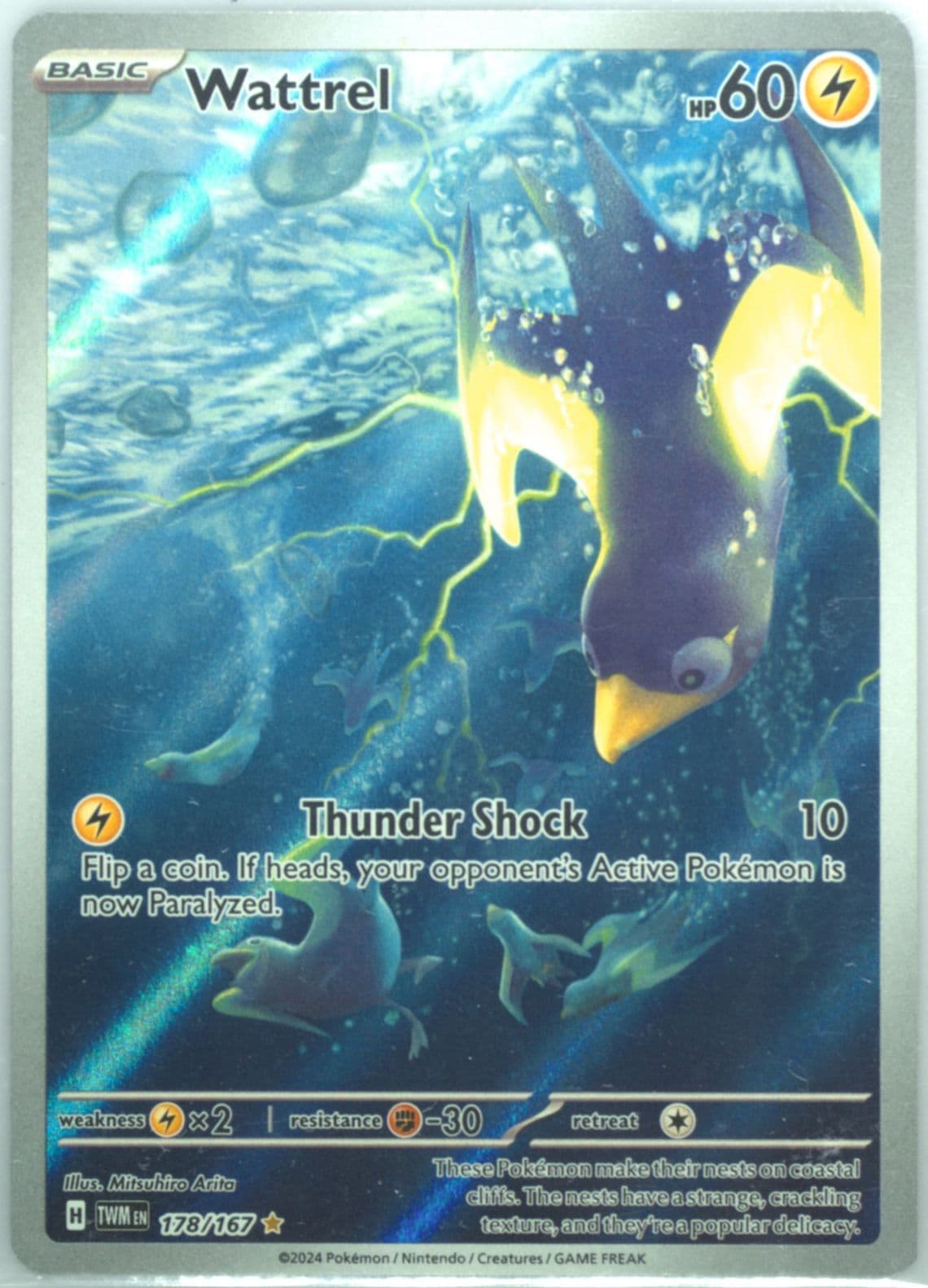 Wattrel Illustration Rare (178) 2024 Pokemon Twm EN-Twilight Masquerade