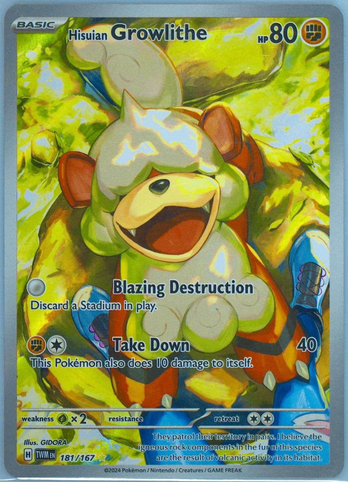 Hisuian Growlithe Illustration Rare (181) 2024 Pokemon Twm EN-Twilight Masquerade