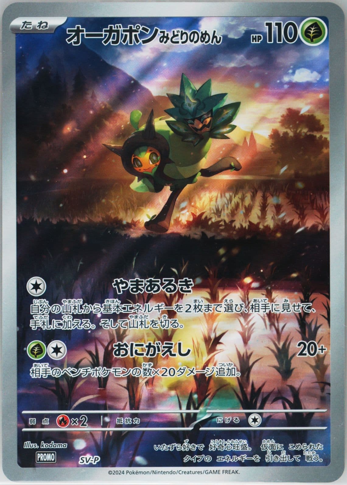 Teal Mask Ogerpon Special Jumbo Card Set Ogerpon-Jumbo (SV-P) 2024 Pokemon Japanese SV-P Promo