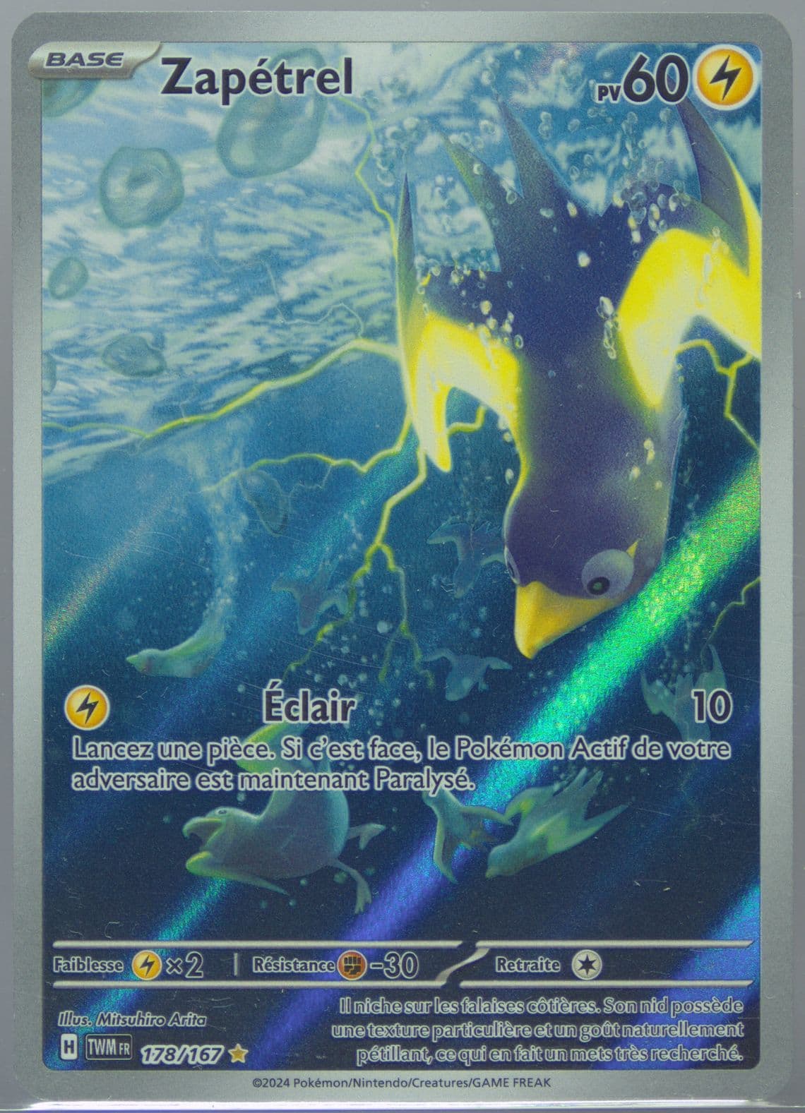 Wattrel Illustration Rare (178) 2024 Pokemon French Twm FR-Twilight Masquerade