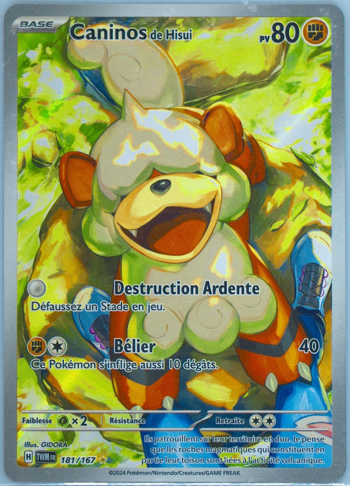 Hisuian Growlithe Illustration Rare (181) 2024 Pokemon French Twm FR-Twilight Masquerade