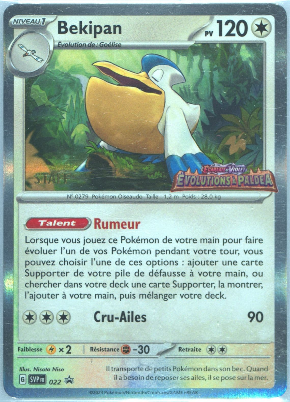 Pelipper Paldea Evolved Prerelease-Staff (022) 2023 Pokemon French Svp FR-SV Black Star Promo