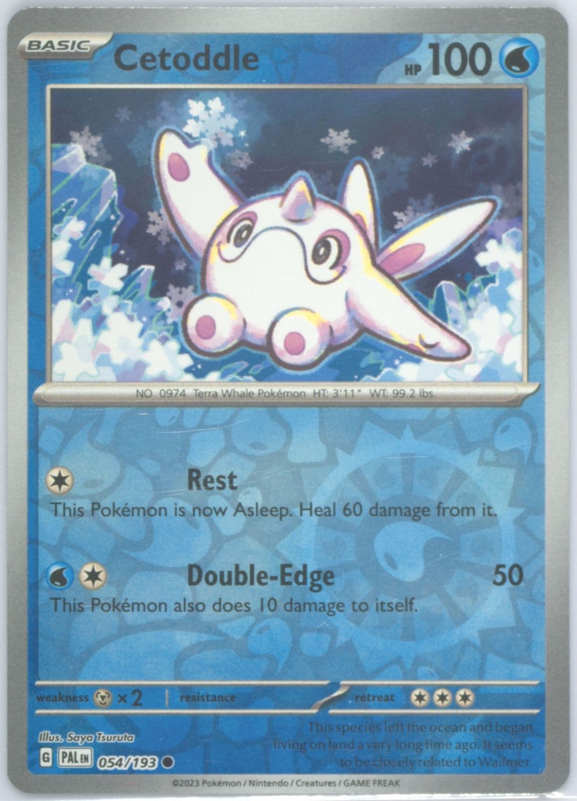 Cetoddle Reverse Holo (054) 2023 Pokemon Pal EN-Paldea Evolved
