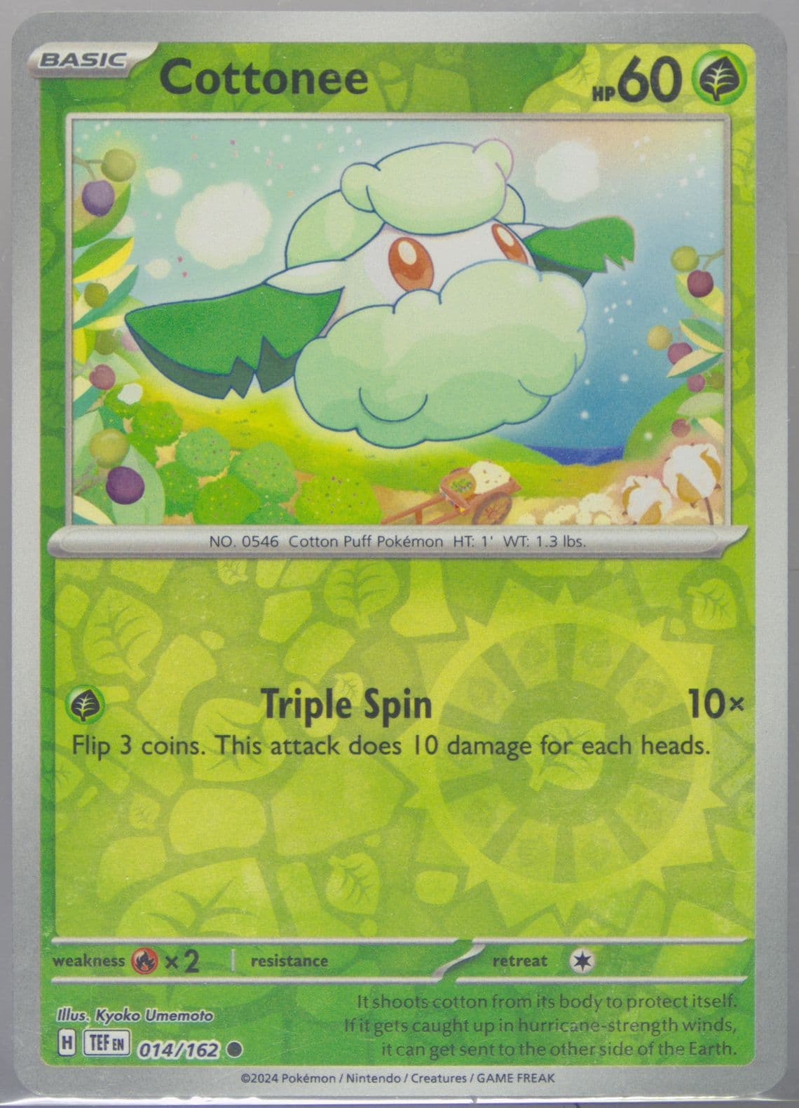 Cottonee Reverse Holo (014) 2024 Pokemon Tef EN-Temporal Forces