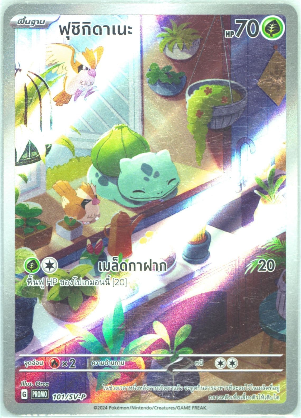 Bulbasaur Shiny Treasure EX 1 Box Purchase (101) 2024 Pokemon Thai SV-P Promo