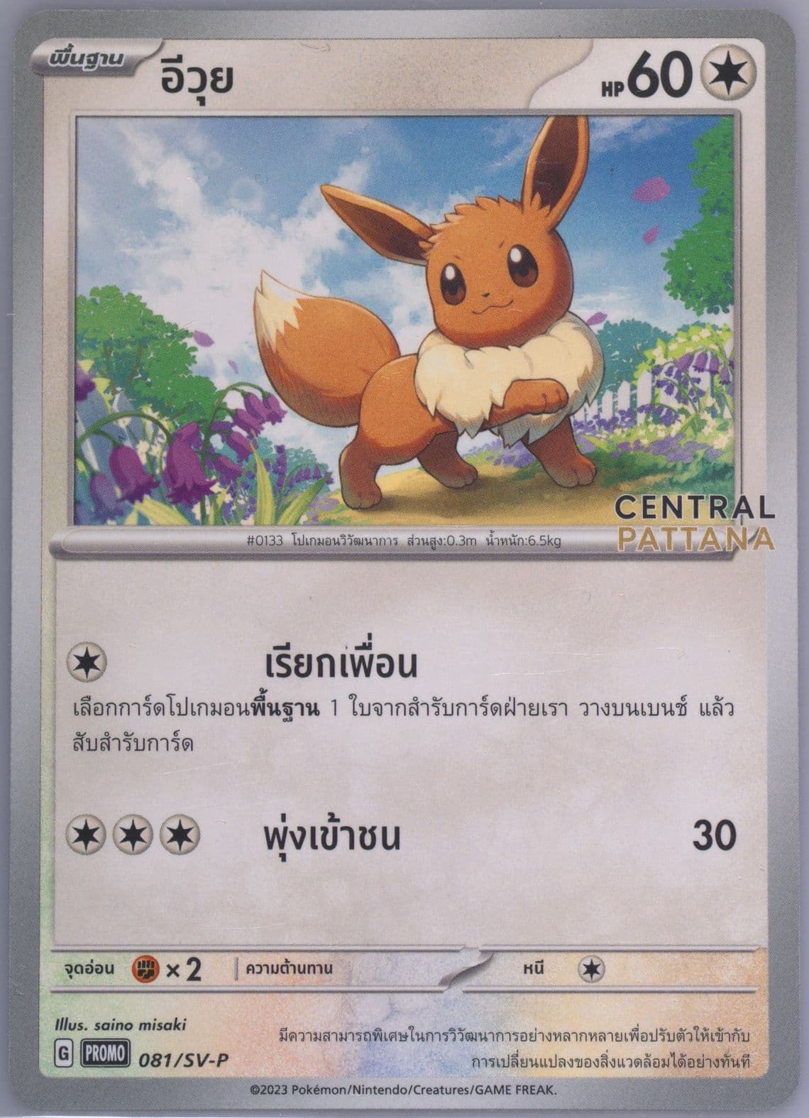 Eevee The Great Celebration 2024 at Central Pattana (081) 2024 Pokemon Thai SV-P Promo