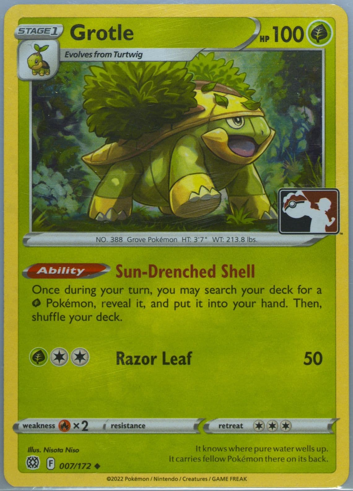 Grotle Holo (007) 2023 Pokemon Play! Pokemon Prize Pack: Series 3