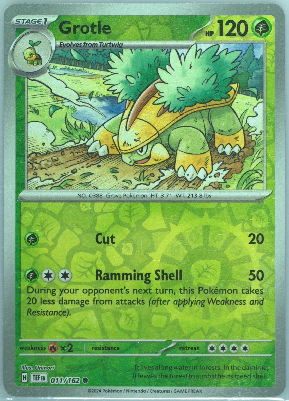 Grotle Reverse Holo (011) 2024 Pokemon Tef EN-Temporal Forces
