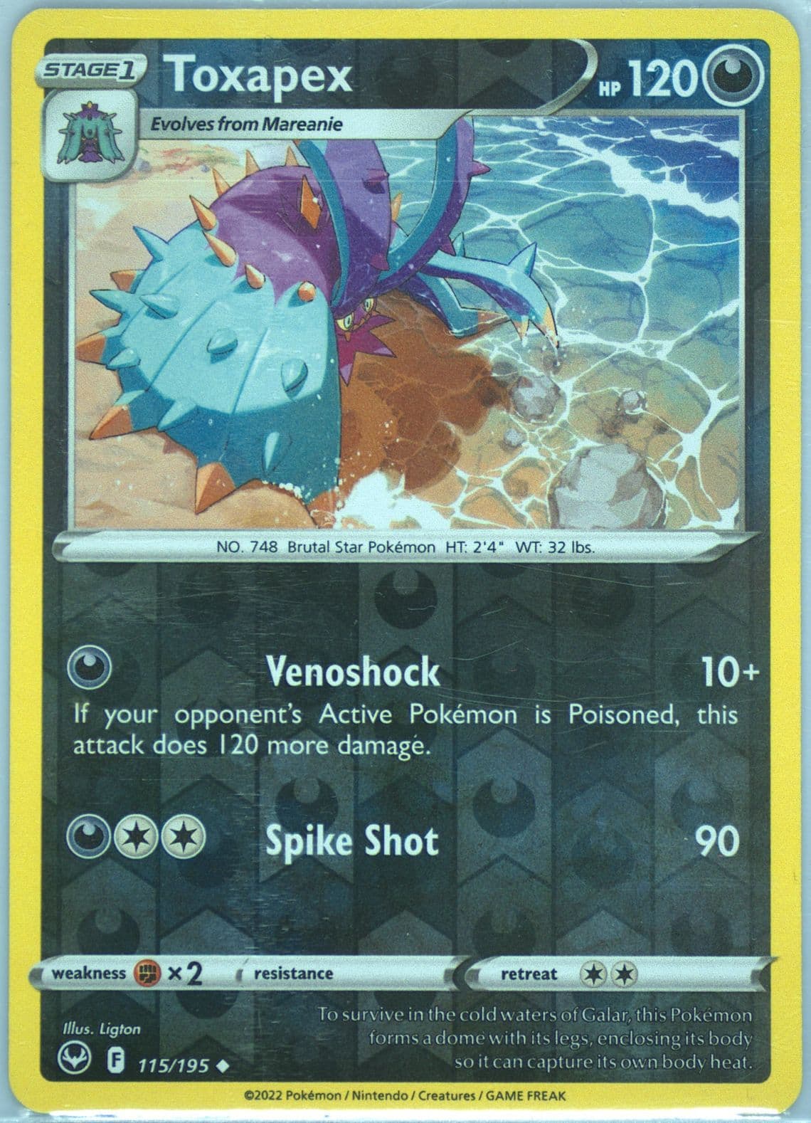 Toxapex-Reverse Foil (115) 2022 Pokemon Sword & Shield Silver Tempest