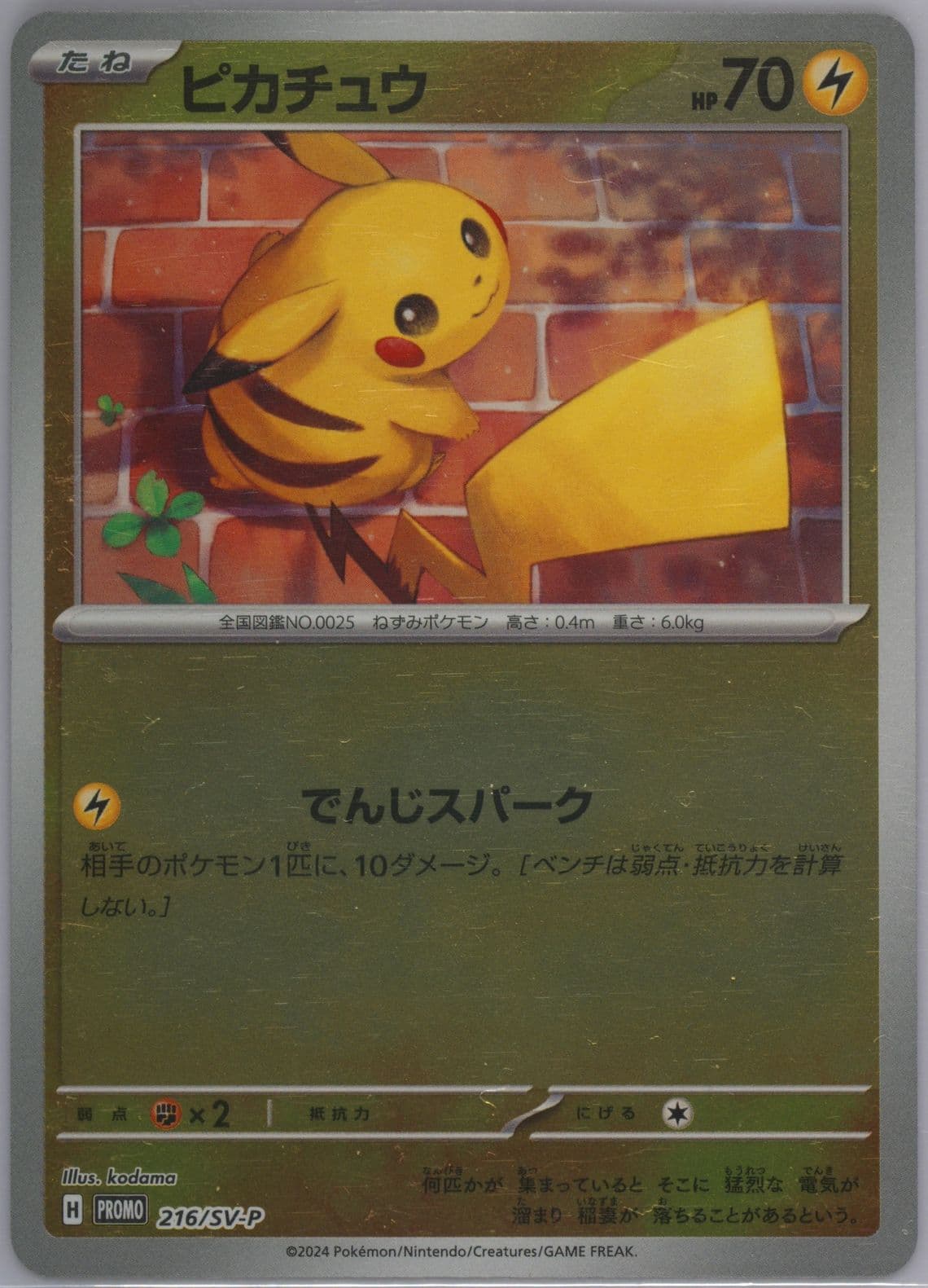 Pikachu Summer of Pokeca Is Here! Promo Card Get Campaign Pack (216) 2024 Pokemon Japanese SV-P Promo