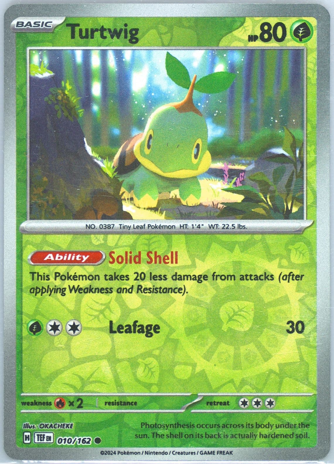 Turtwig Reverse Holo (010) 2024 Pokemon Tef EN-Temporal Forces