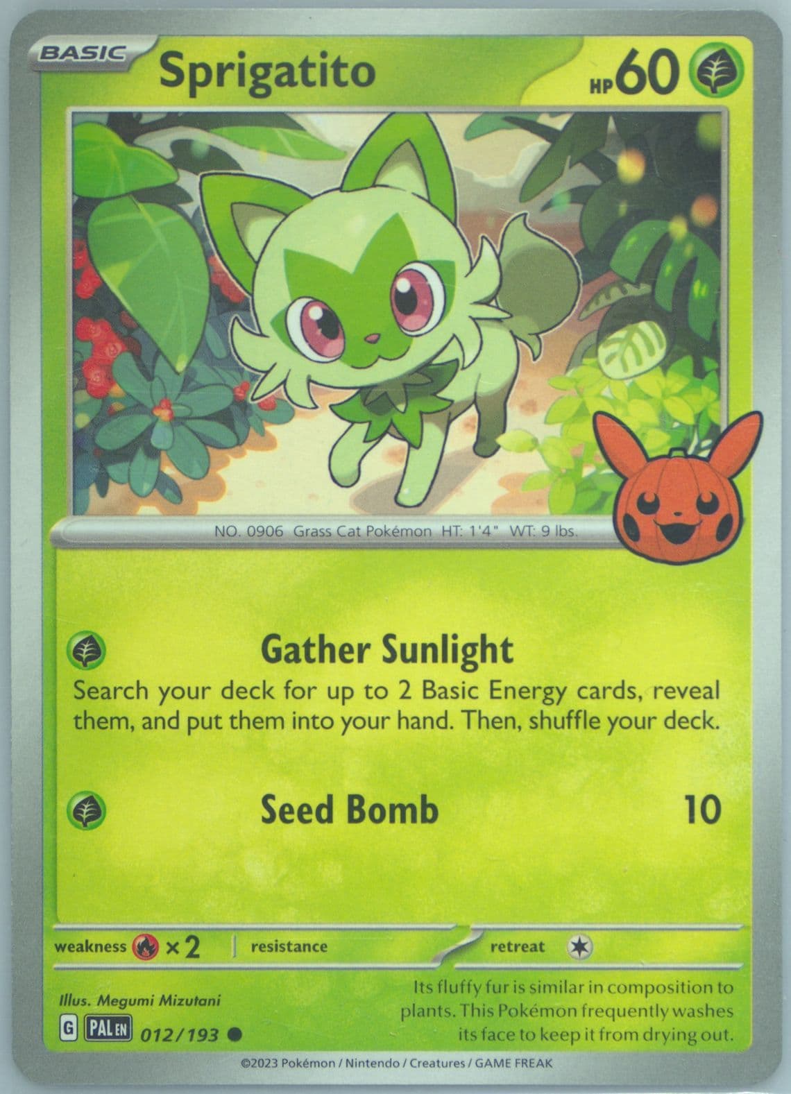 Sprigatito (012) 2024 Pokemon Trick or Trade