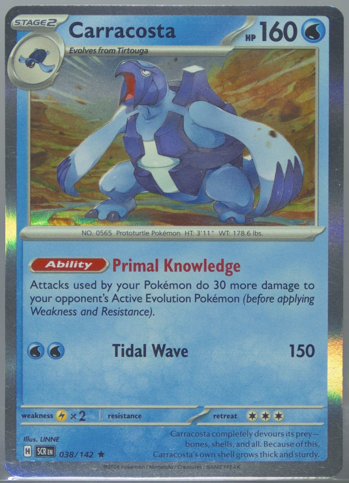 Carracosta (038) 2024 Pokemon Scr EN-Stellar Crown