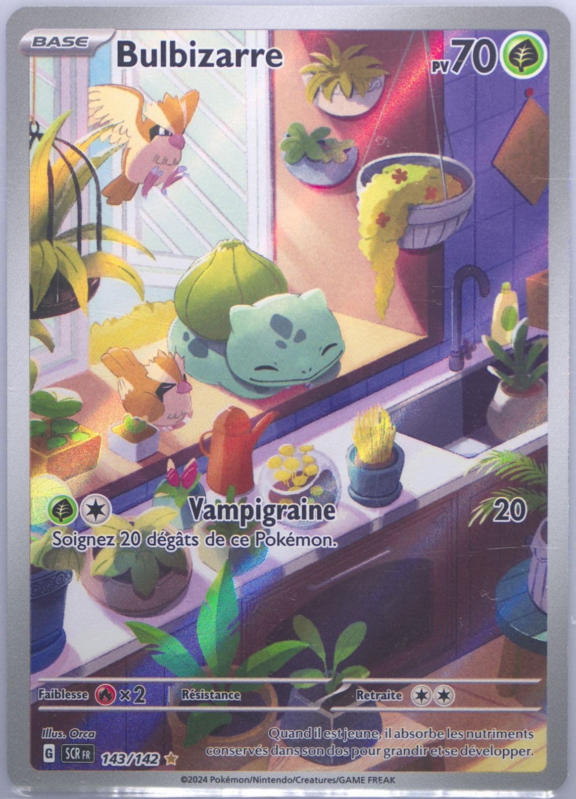 Bulbasaur Illustration Rare (143) 2024 Pokemon French Scr FR-Stellar Crown