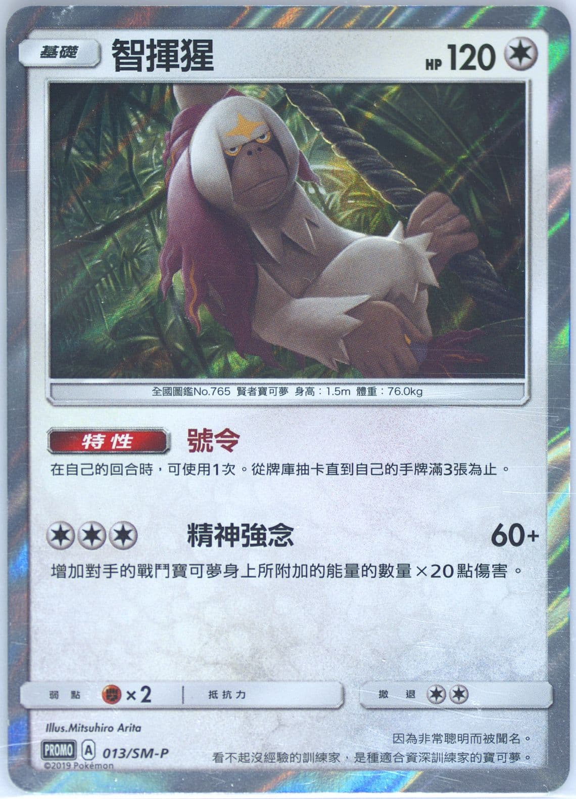 Oranguru-Holo Pokemon TCG Gym (013) 2019 Pokemon Chinese SM Promo