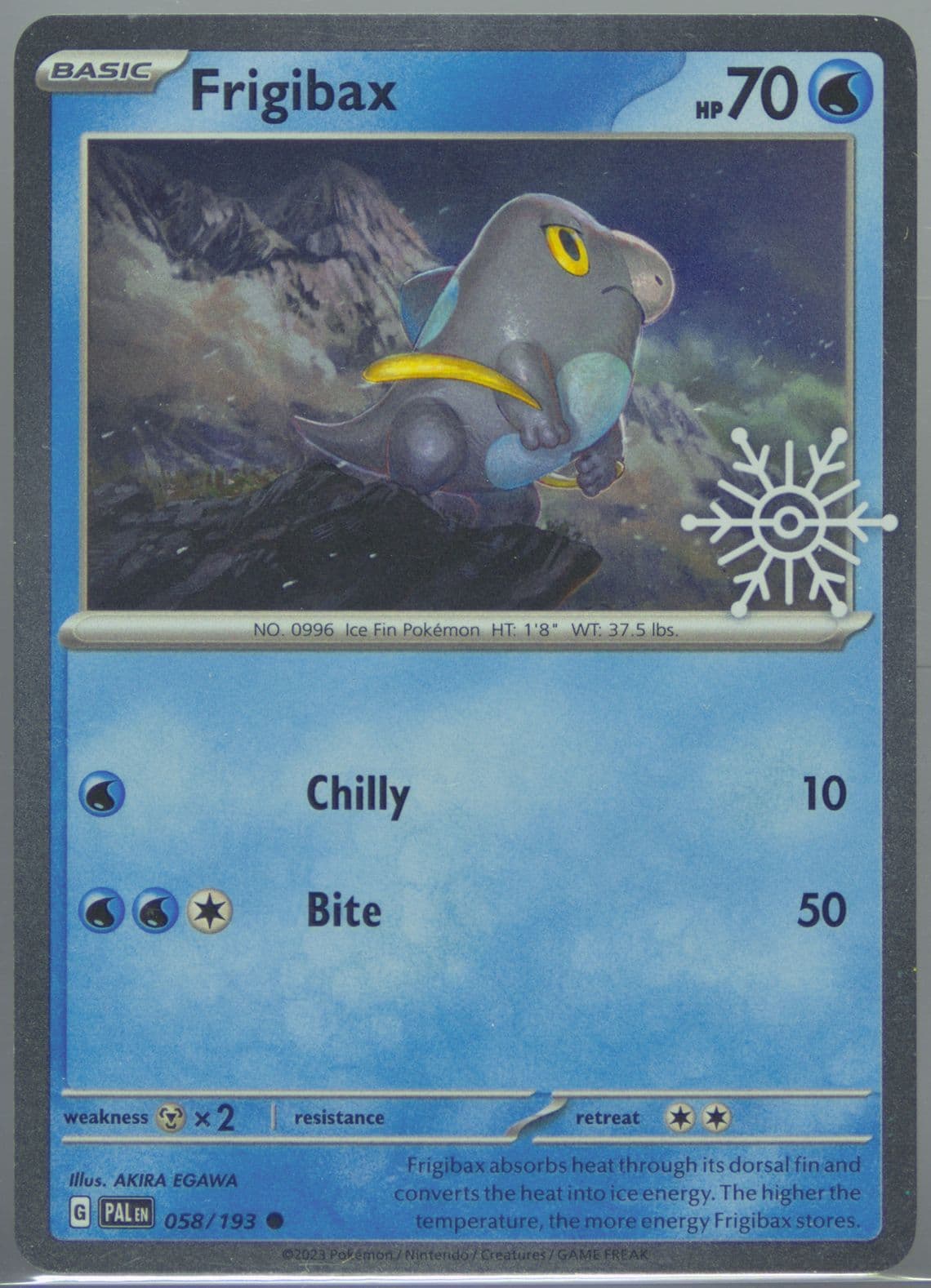 Frigibax (058) 2024 Pokemon Holiday Calendar