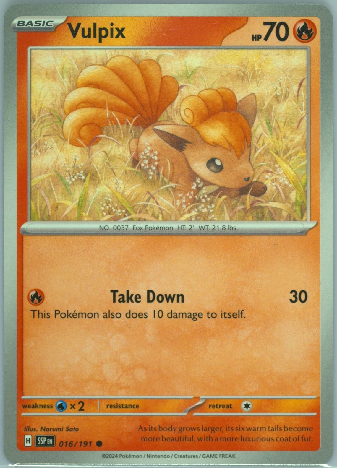 Vulpix (016) 2024 Pokemon Ssp EN-Surging Sparks