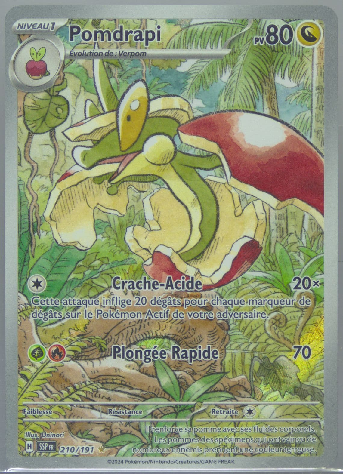 Flapple Illustration Rare (210) 2024 Pokemon French Ssp FR-Surging Sparks