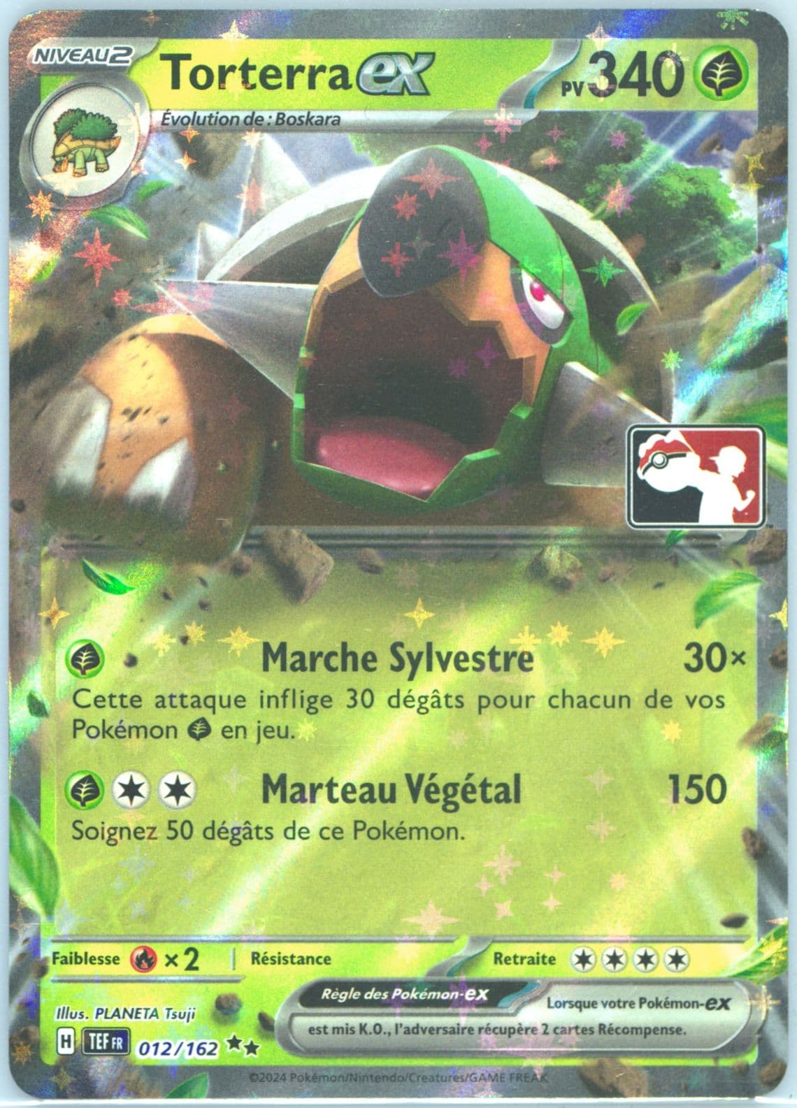 Torterra EX French (012) 2024 Pokemon Play! Pokemon Prize Pack: Series 5