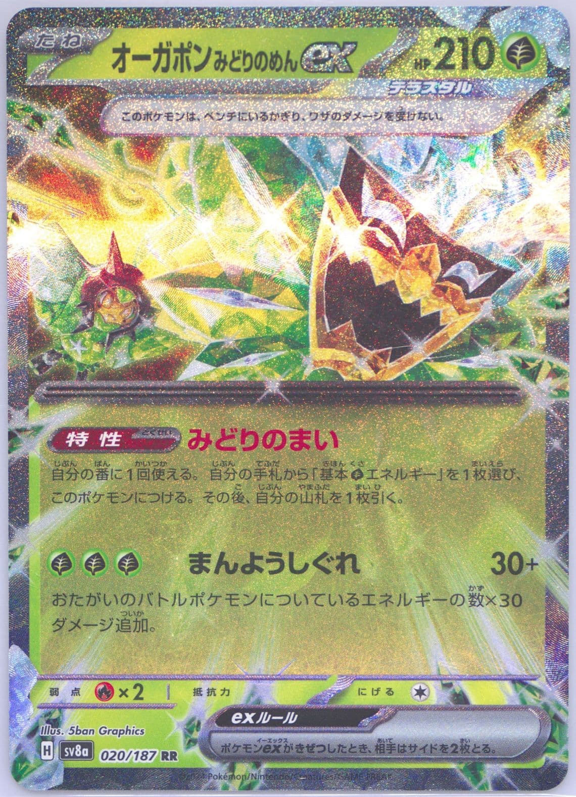 Teal Mask Ogerpon EX (020) 2024 Pokemon Japanese Sv8a-Terastal Fest EX