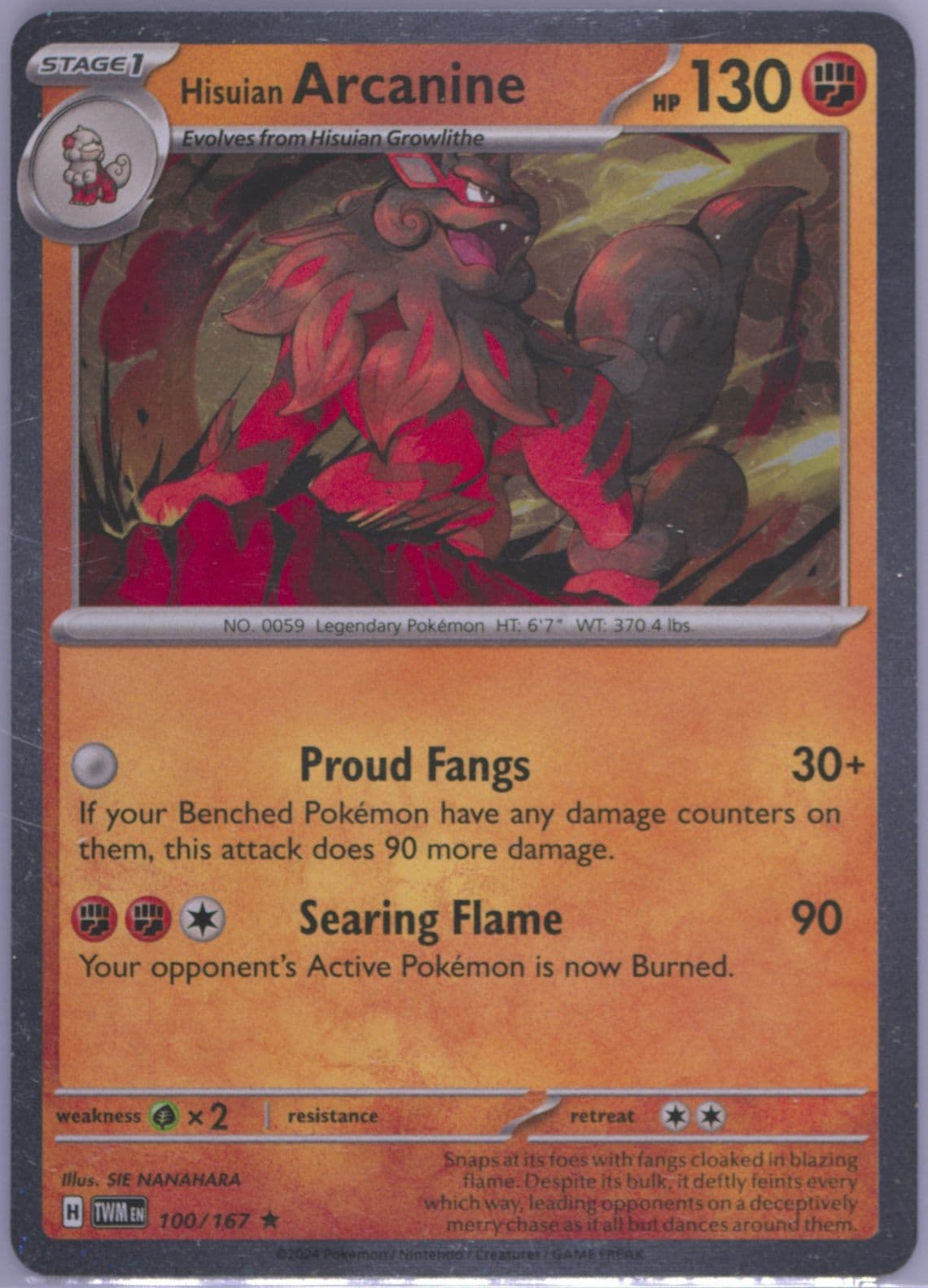 Hisuian Arcanine Surging Sparks Stage 1 Blister (100) 2024 Pokemon Twm EN-Twilight Masquerade