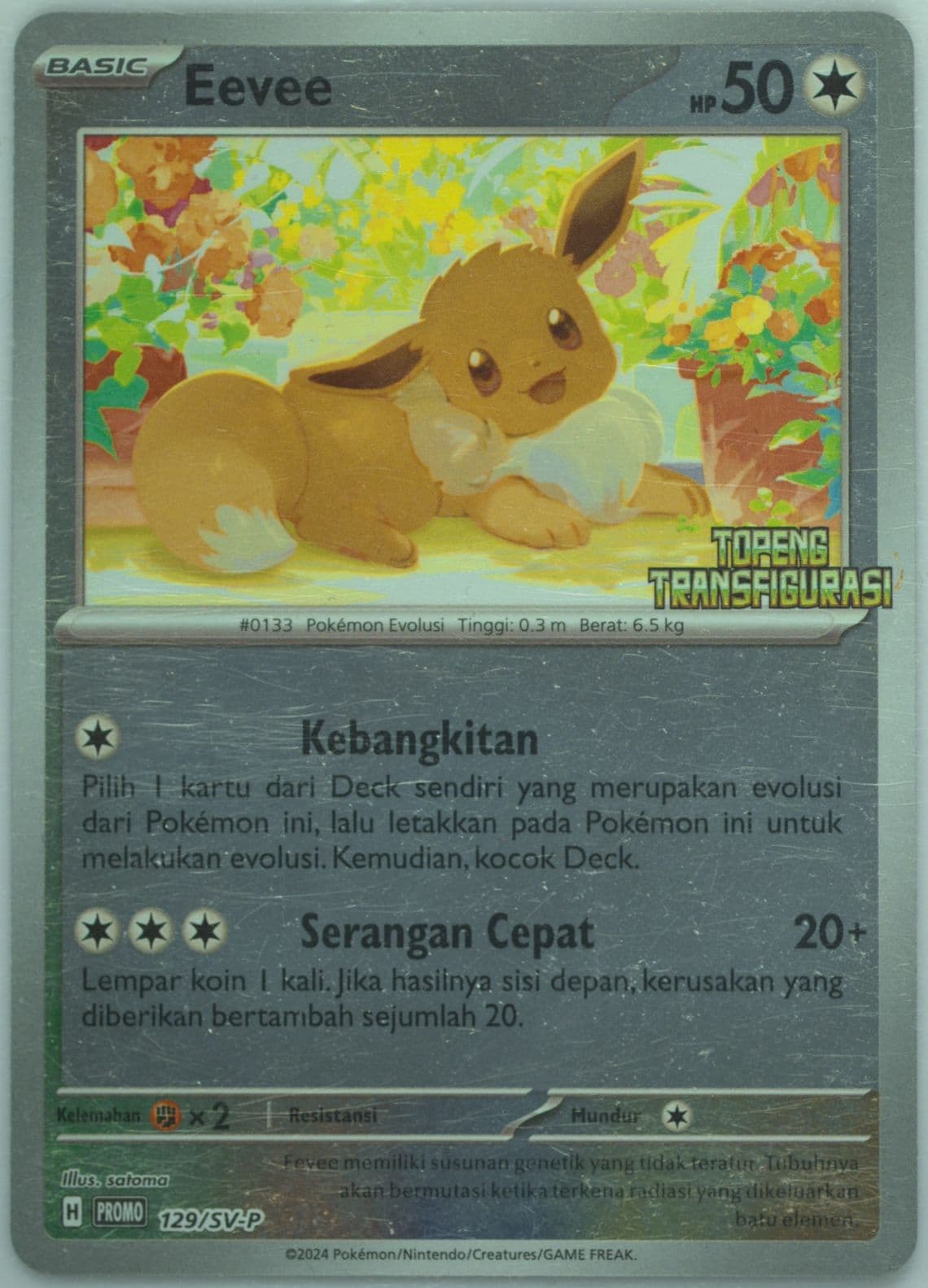 Eevee Transfiguration Mask Special Set (129) 2024 Pokemon Indonesian SV-P Promo