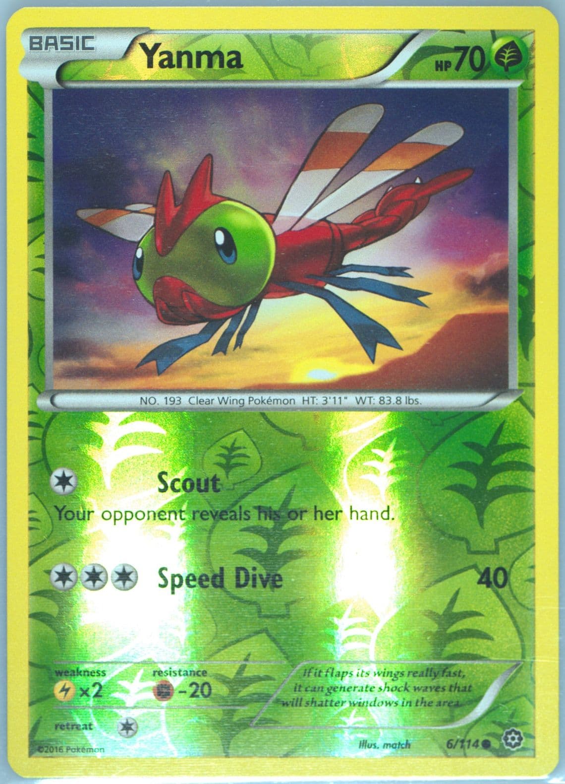 Yanma-Reverse Foil (6) 2016 Pokemon XY Steam Siege
