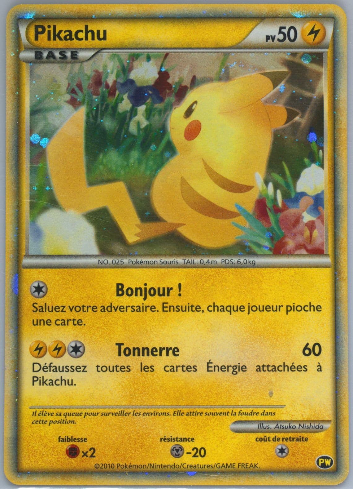 Pikachu-Holo French-Do Not Use 2010 Pokemon World Collection