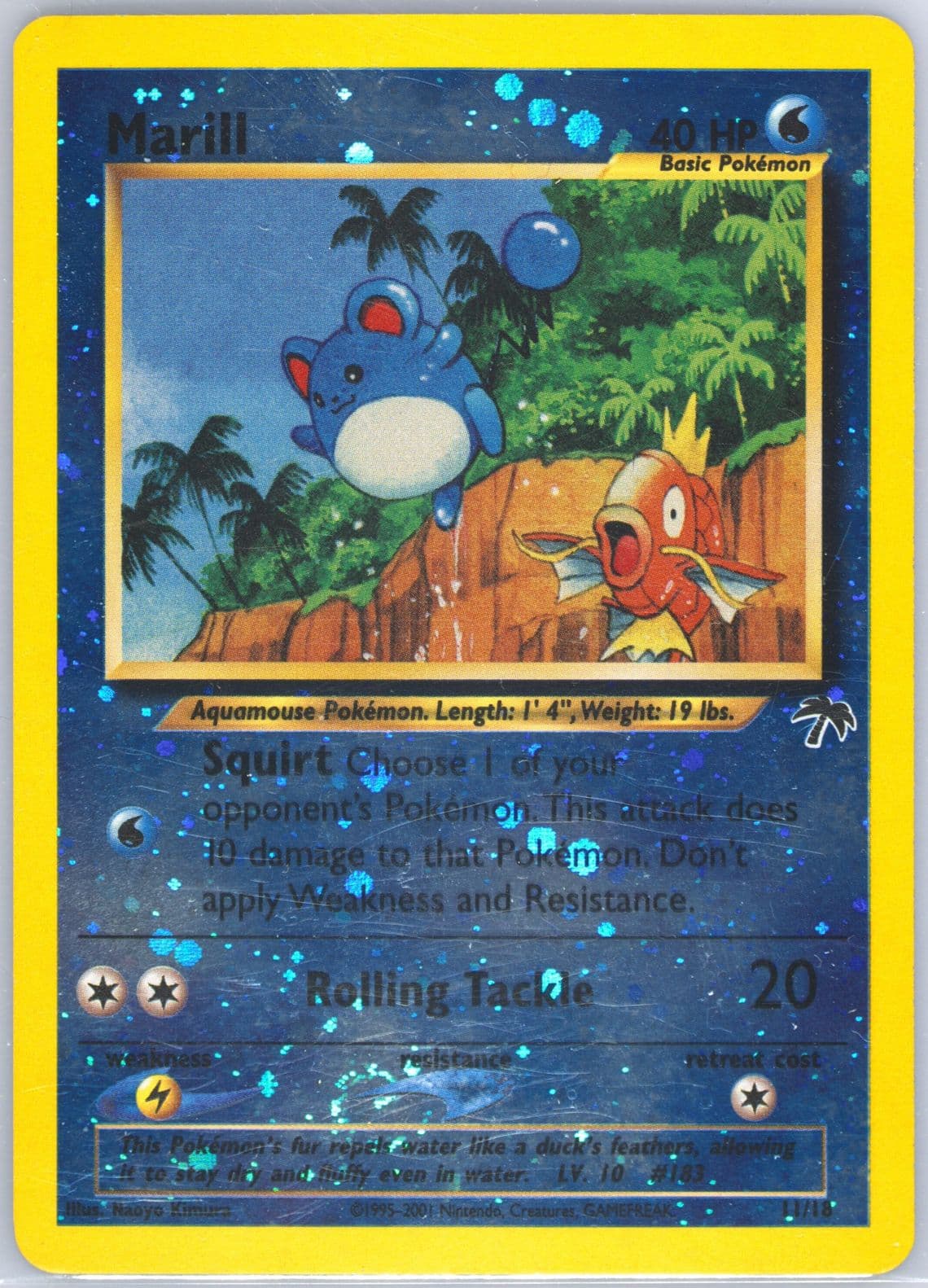 Marill-Holo (11) 2001 Pokemon Southern Islands Promo