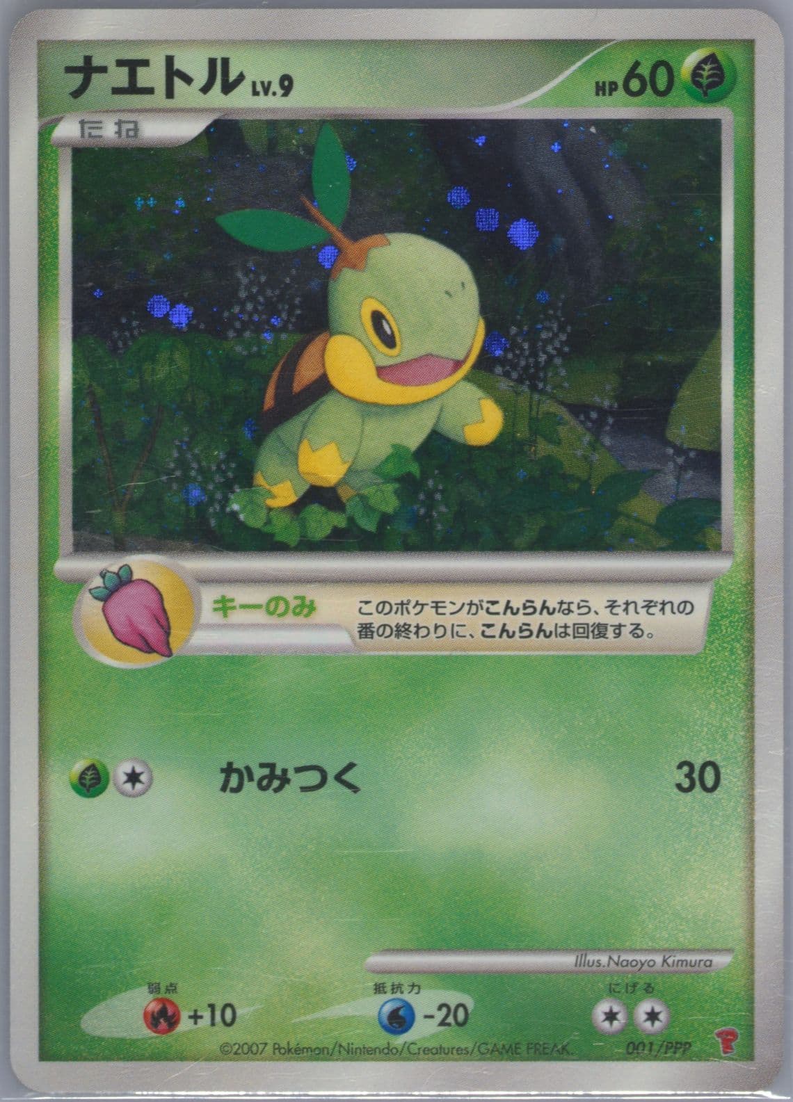 Turtwig-Holo Fan Club 2,000 Exp Pts. (001) 2007 Pokemon Japanese Promo