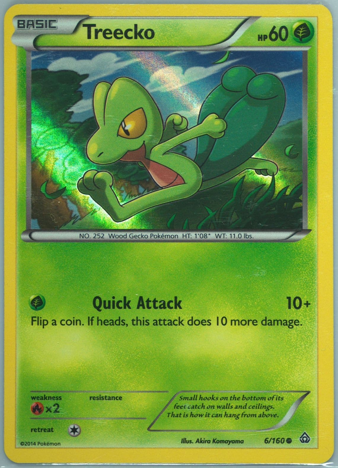 Treecko-Holo (6) 2014 Pokemon XY Collector Chest