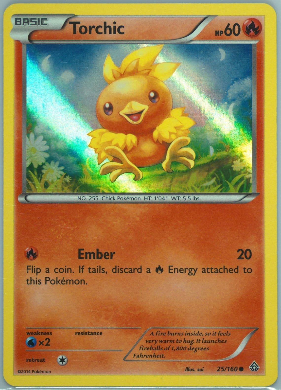 Torchic-Holo (25) 2014 Pokemon XY Collector Chest