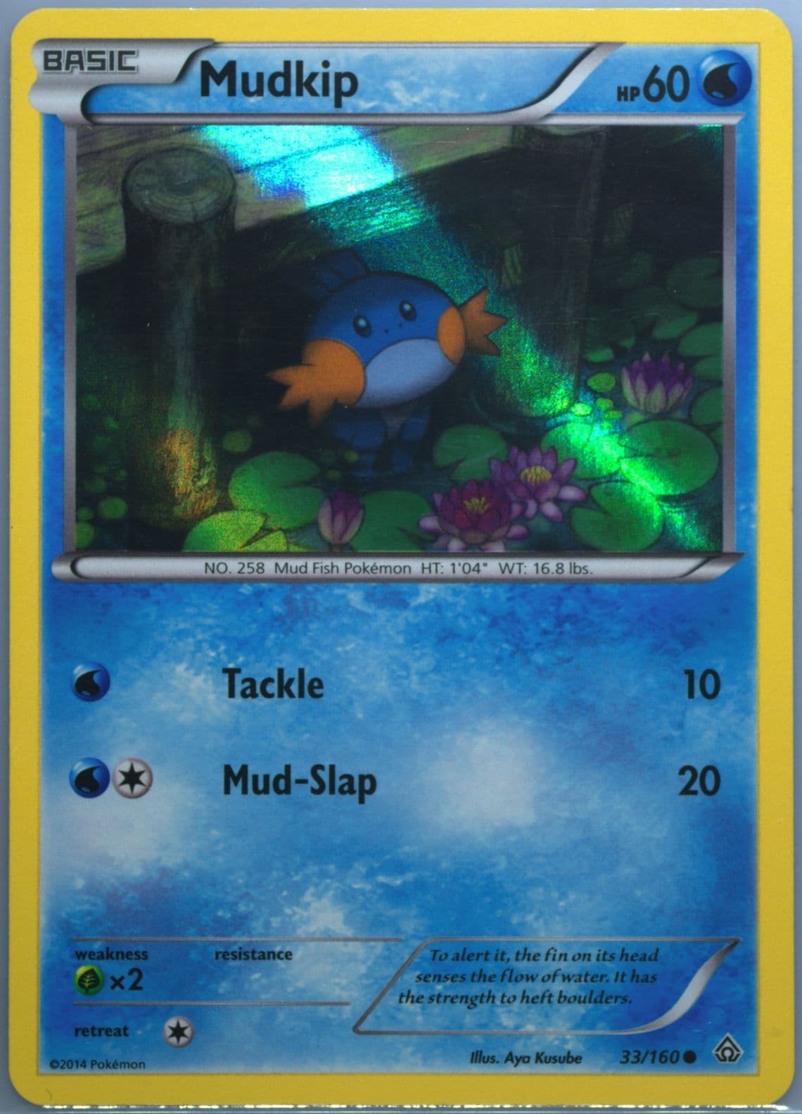 Mudkip-Holo (33) 2014 Pokemon XY Collector Chest