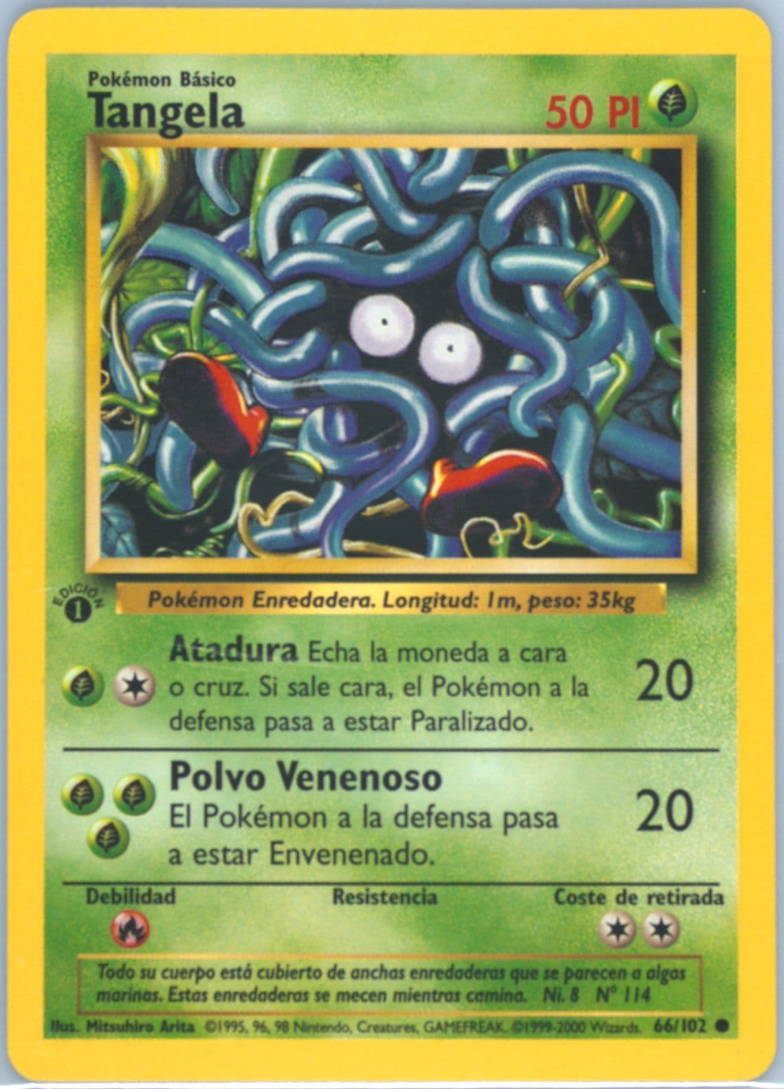 Tangela 1st Edition (66) 1999 Pokemon Spanish