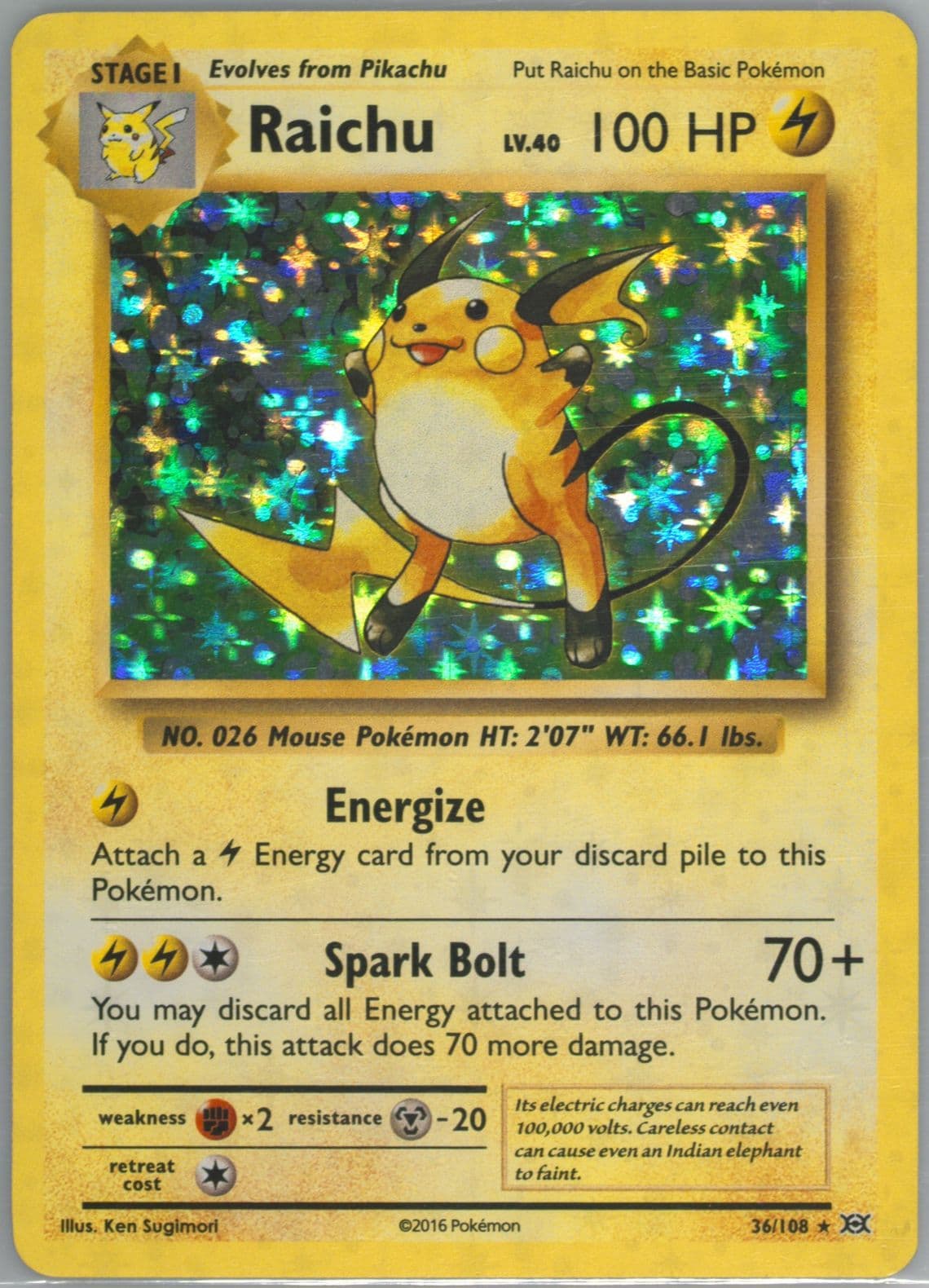Raichu-Holo (36) 2016 Pokemon XY Evolutions