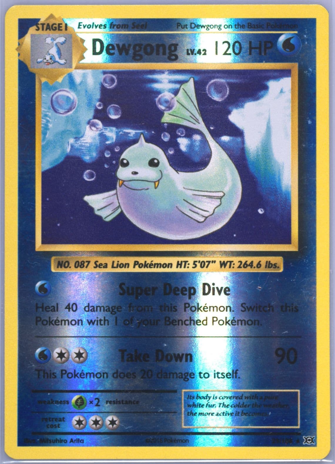 Dewgong-Reverse Foil (29) 2016 Pokemon XY Evolutions