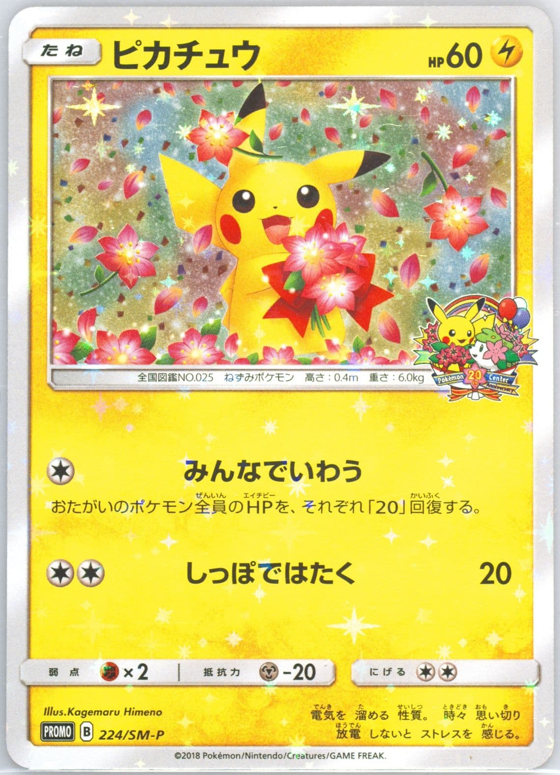 Pikachu Pokemon Center 20th Anniversary Campaign (224) 2018 Pokemon Japanese SM Promo