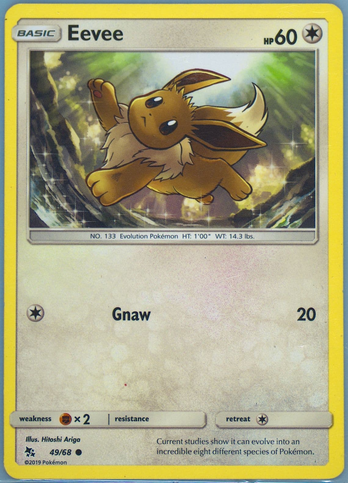 Eevee (49) 2019 Pokemon Sun & Moon Hidden Fates