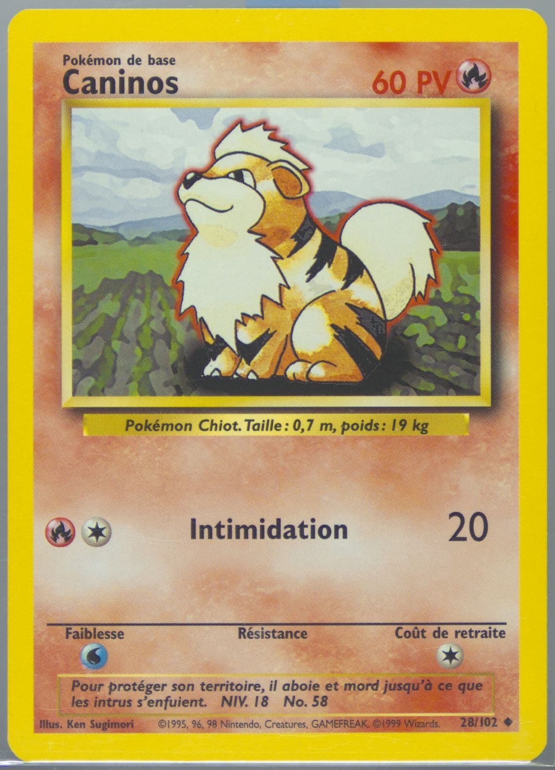 Caninos (28) 1999 Pokemon French