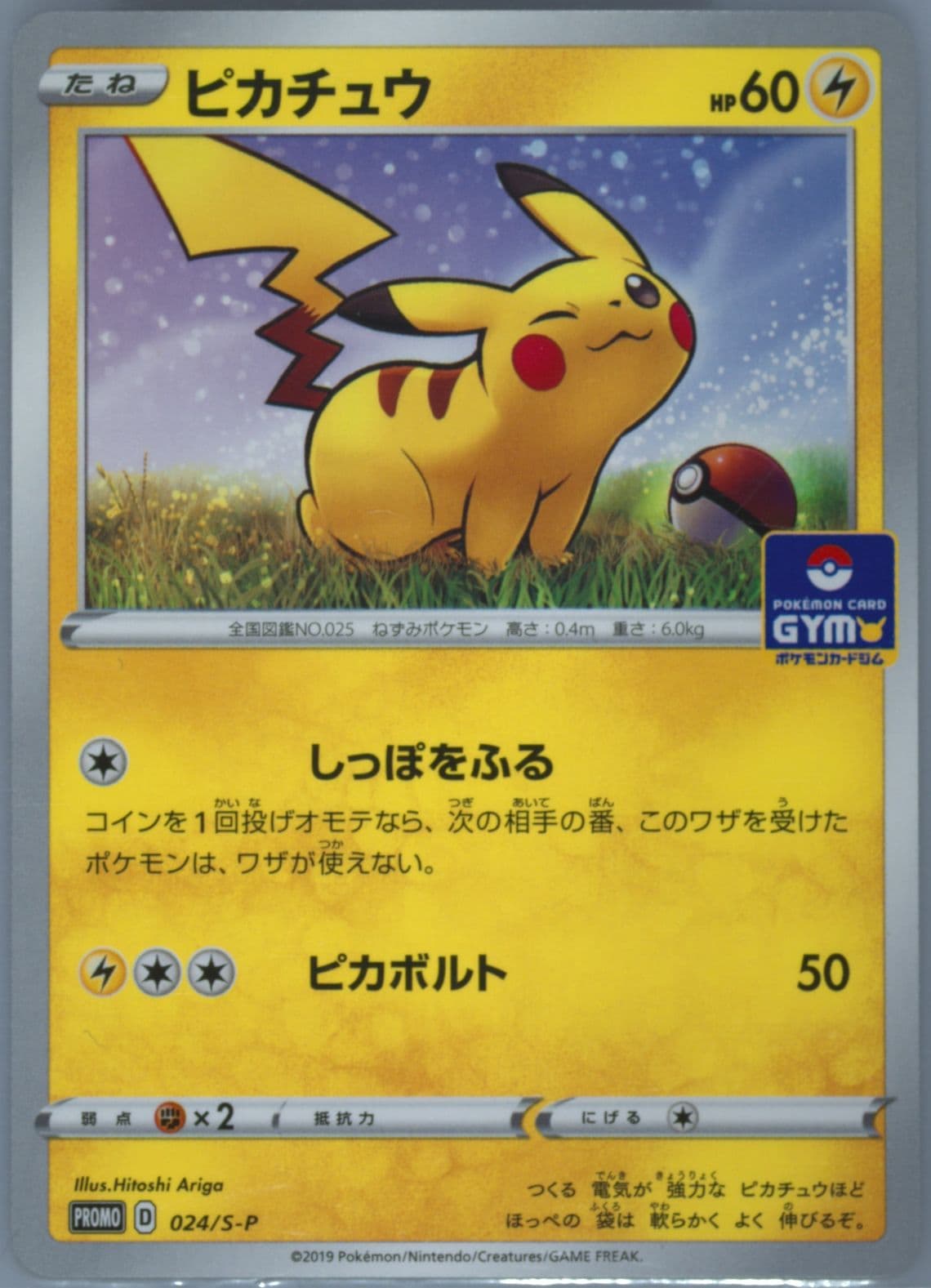 Pikachu Pokemon Card Gym (024) 2019 Pokemon Japanese S Promo