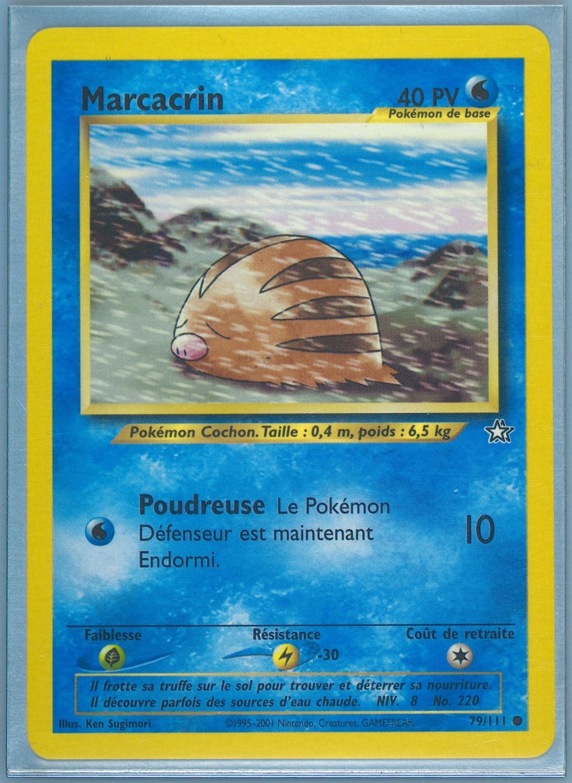 Marcacrin (79) 2001 Pokemon French Neo Genesis