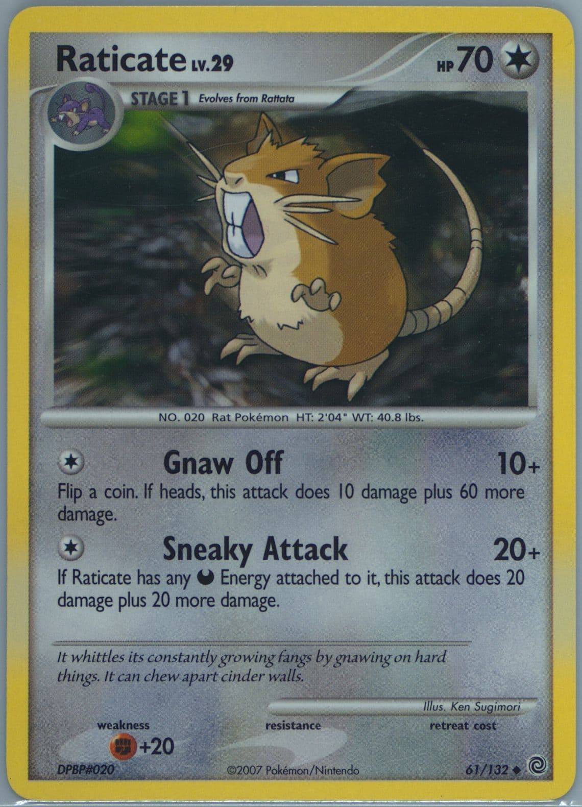 Raticate (61) 2007 Pokemon Diamond & Pearl Secret Wonders