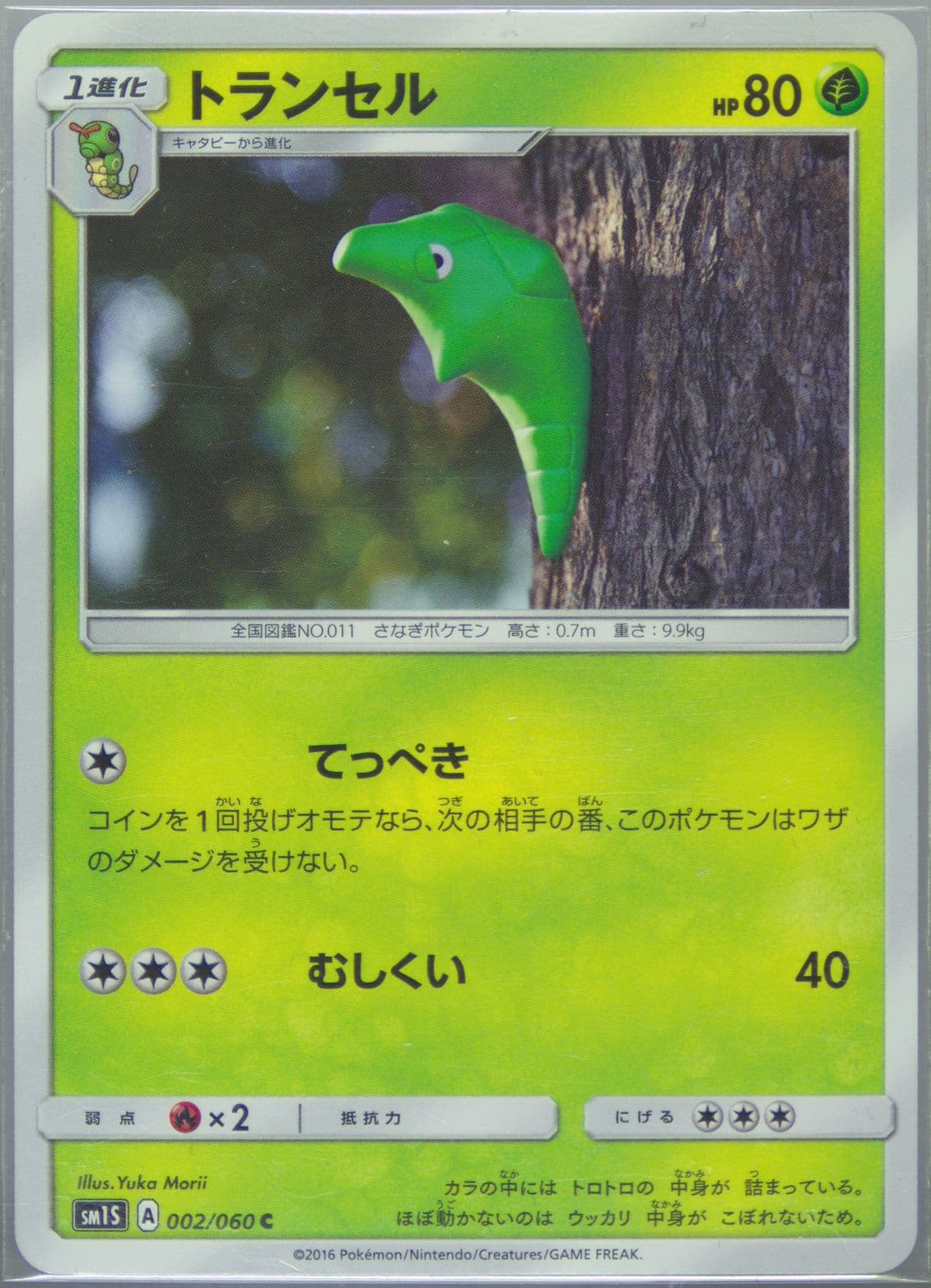 Metapod (002) 2016 Pokemon Japanese Sun & Moon Collection Sun